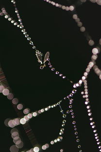 亥午暗合生成什么五行（地支亥午暗合成功的条件）