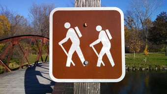 紫微斗数看对象身高（紫微斗数看自己身高）