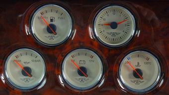 流年地支四库全（地支四库俱全的八字）