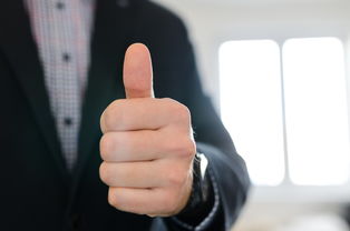 张月鹿星宿是什么意思(张月鹿星宿揭秘:南方朱雀之下的吉祥象征与内涵寓意)