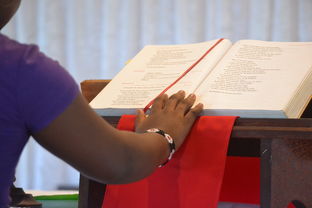 子亥丑三会水局详解(亥子丑三会水局的化解) 子亥丑三会水局详解(亥子丑三会水局的化解)