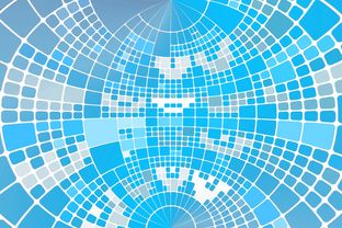 乙和癸是什么关系（乙癸合吗）