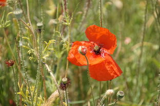 八字里有三个癸女命（四柱八字三个癸）