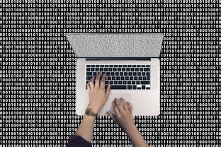 紫微斗数怎么学？打好基础是关键，一文告诉你紫微斗数的基础（紫微斗数初级入门）