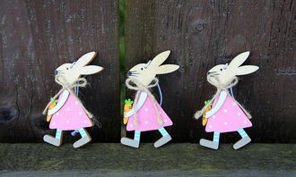 属兔人2024年运势及破解（属兔的2024年运势怎么样）