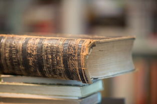 八字带木的人的财运（八字中含木的字有哪些?）