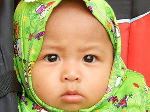 女孩宝宝起名大全草子头（女宝宝草头名字）