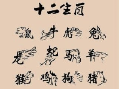 十二生肖男命局运势详解(十二生肖男命局运势详解图)