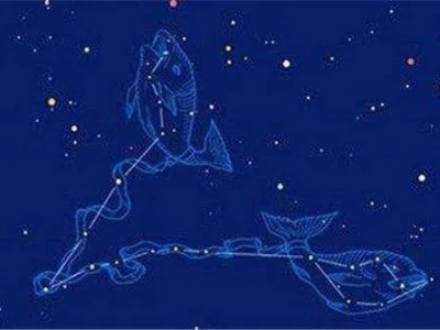 星座运势双鱼男白羊女(双鱼男白羊座女配对)