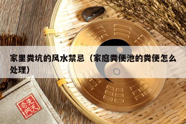 家里粪坑的风水禁忌（家庭粪便池的粪便怎么处理）