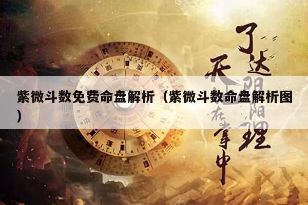 紫微斗数免费命盘解析（紫微斗数命盘解析图）