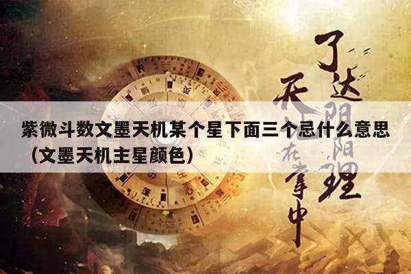 紫微斗数文墨天机某个星下面三个忌什么意思(文墨天机主星颜色)