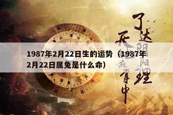 1987年2月22日生的运势（1987年2月22日属兔是什么命）