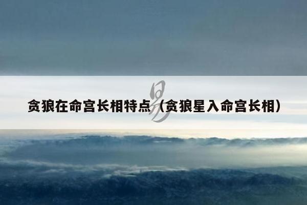 贪狼在命宫长相特点（贪狼星入命宫长相）