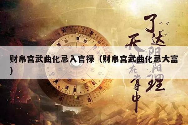 财帛宫武曲化忌入官禄（财帛宫武曲化忌大富）