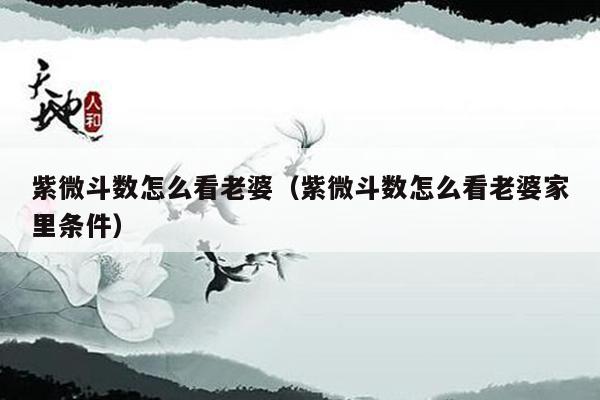 紫微斗数怎么看老婆（紫微斗数怎么看老婆家里条件）
