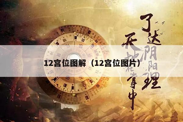 12宫位图解（12宫位图片）