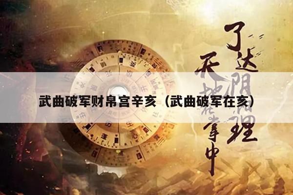 武曲破军财帛宫辛亥（武曲破军在亥）
