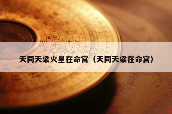天同天梁火星在命宫(天同天粱在命宫)