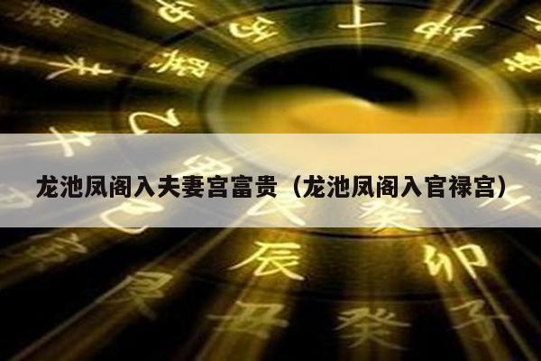 龙池凤阁入夫妻宫富贵（龙池凤阁入官禄宫）