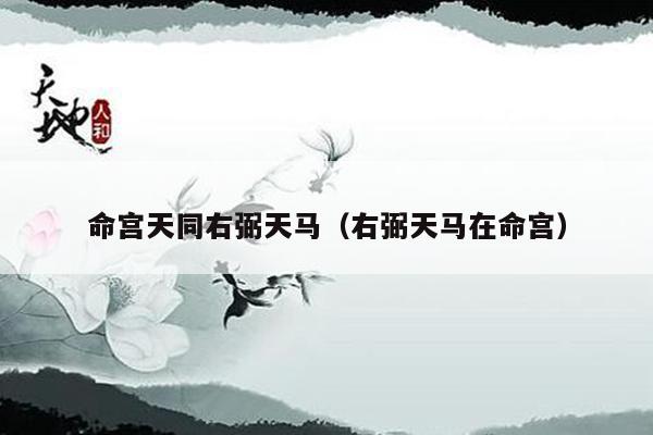 命宫天同右弼天马（右弼天马在命宫）