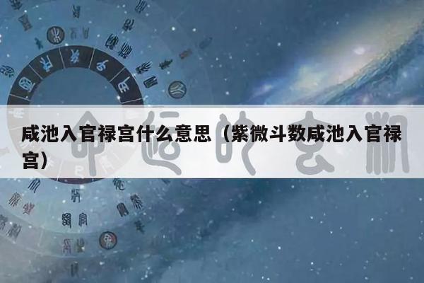 咸池入官禄宫什么意思（紫微斗数咸池入官禄宫）