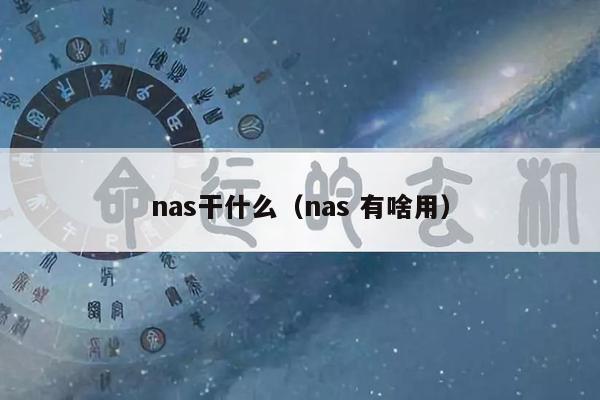 nas干什么（nas 有啥用）
