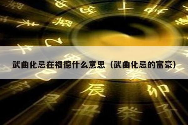 武曲化忌在福德什么意思（武曲化忌的富豪）