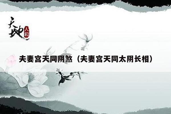 夫妻宫天同阴煞（夫妻宫天同太阴长相）