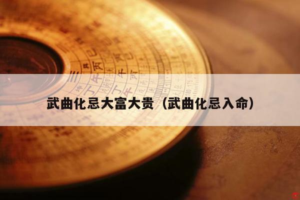 武曲化忌大富大贵（武曲化忌入命）
