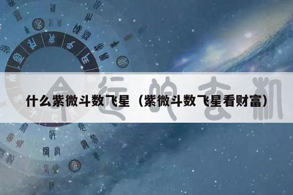 什么紫微斗数飞星（紫微斗数飞星看财富）