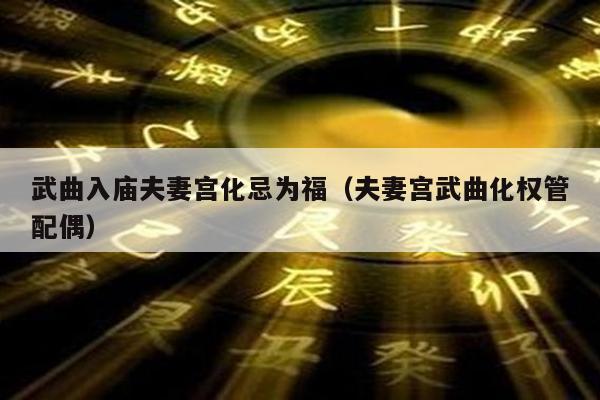 武曲入庙夫妻宫化忌为福（夫妻宫武曲化权管配偶）