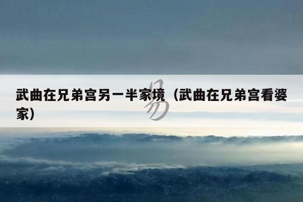 武曲在兄弟宫另一半家境（武曲在兄弟宫看婆家）